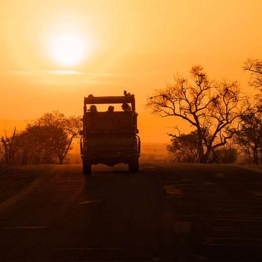 the best time of the year to go on a safari trip in cyprus