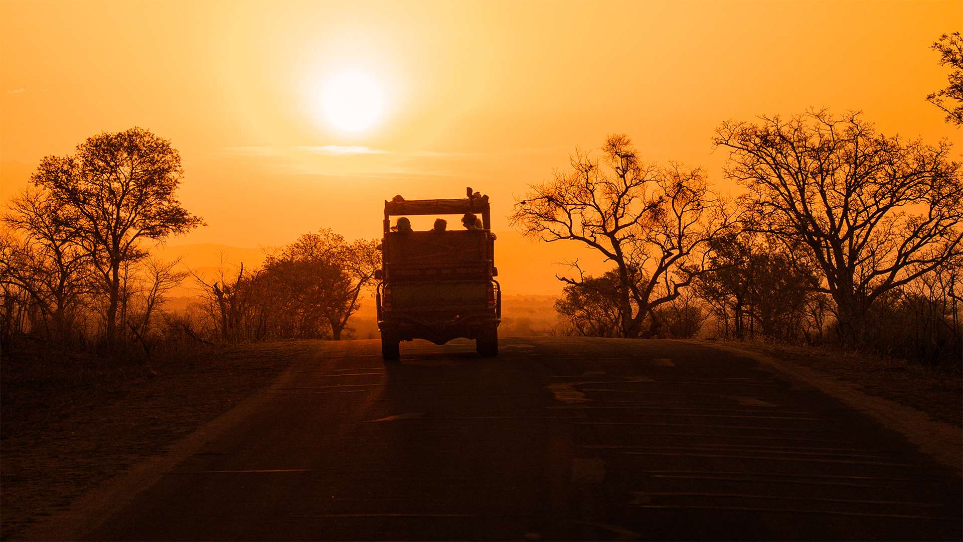 the best time of the year to go on a safari trip in cyprus